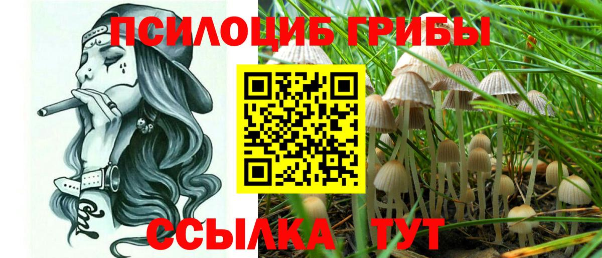 Галлюциногенные грибы ЛСД Урус-Мартан