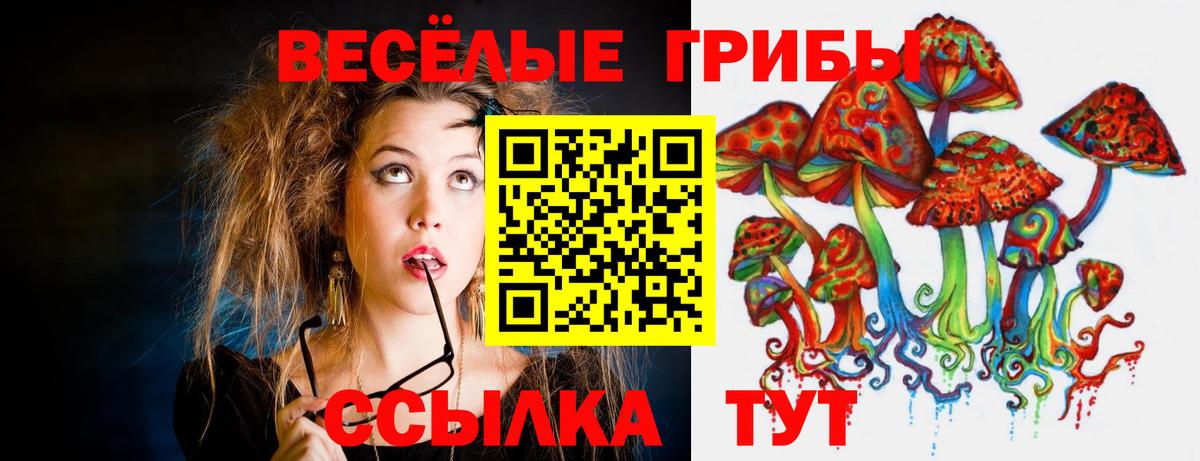 Урус-Мартан  Галлюциногенные грибы прущие грибы  Псилоцибиновые грибы GOLDEN TEACHER  Вход с VPN 